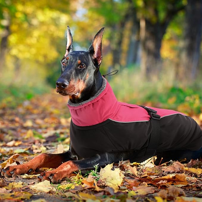 IDOMIK Dog Winter Coat, Reflective Waterproof Dog Jacket for Cold Weather, Warm Pet Coats for Small Medium Large Dogs, High Collar Doggy Fleece Snow Jacket, Winter Vest with Adjustable Buckle,M
