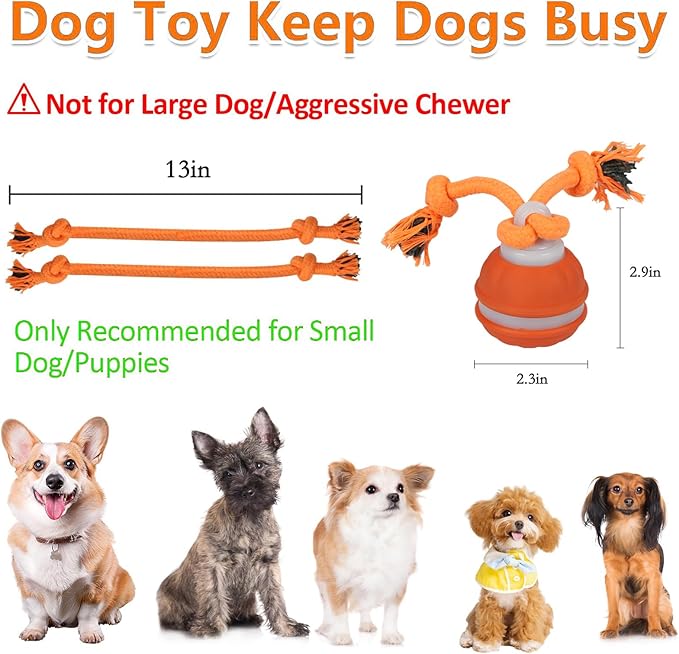Interactive Dog Toys for Small Dogs,Peppy Pet Ball for Dogs,Puppy Toys,Active Rolling Dog Ball,Dog Toys to Keep Them Busy for Daily Training