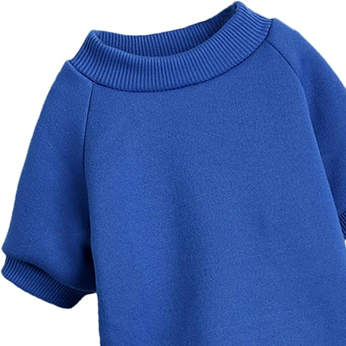 Puppy Sweater for Small Dogs Clothes Warm Winter Cat Clothe Pet Sweatshirt Knitwear Doggie Kitten Clothing, Blue, XX-Small