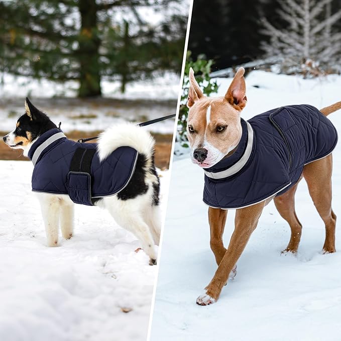Dog Winter Coat Warm Padded Puppy Jacket Windproof Water Resistant Clothes for Small Medium Large Pets Christmas Sweater Outfit Vest(DarkBlue, XS)