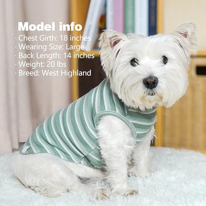 KYEESE 2Pack Waffle Dog Shirts for Small Dogs Stretchy Dog T-Shirts Lightweight Pet Tank Top Sleeveless Striped Dogs Shrit Vest Breathable, Large, Green+Striped