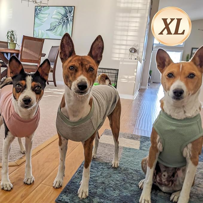 KYEESE 2Pack Waffle Dog Shirts for Small Dogs Stretchy T-Shirts Lightweight Tank Top Sleeveless Striped Shirt Vest Breathable Cat Shirt, X-Large, Orange+Striped