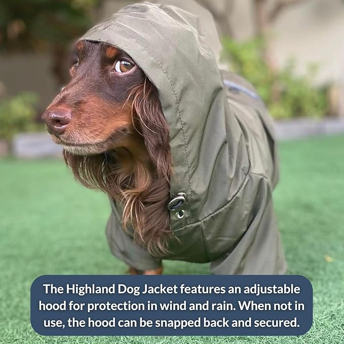 DJANGO Highland Dog Jacket & Raincoat – Water-Repellent, Lined Dog Coat with Hood, Adjustable Fit & Harness Hole – Lightweight Rain & Wind Jacket for Small & Medium Dogs up to 30 lbs (Red, Large)