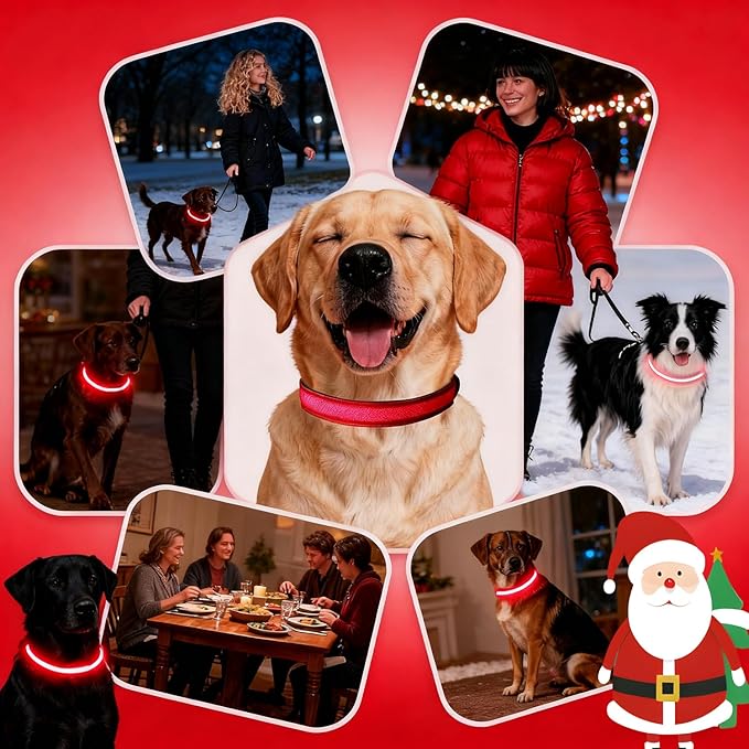 DOGWONG LED Dog Collar - Heavy Duty Light up Collars - Rechargeable Waterproof - Lighted Dog Collar for Night Walking, Hiking, Camping(Red,S)