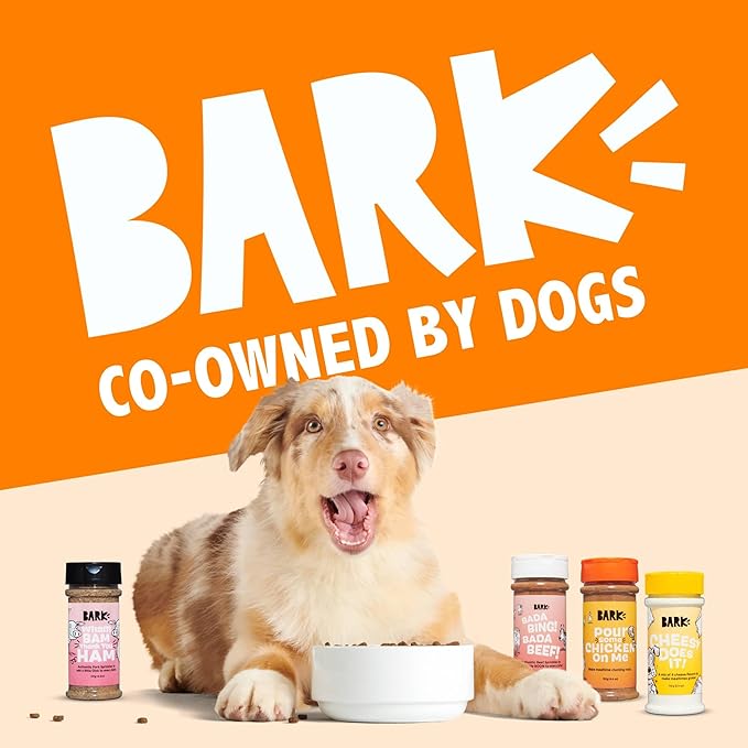 Barkbox Pumpkin Spice Digestive Food Topper Broth Powder, All Life Stages, Large & Small Breeds - 6.1oz
