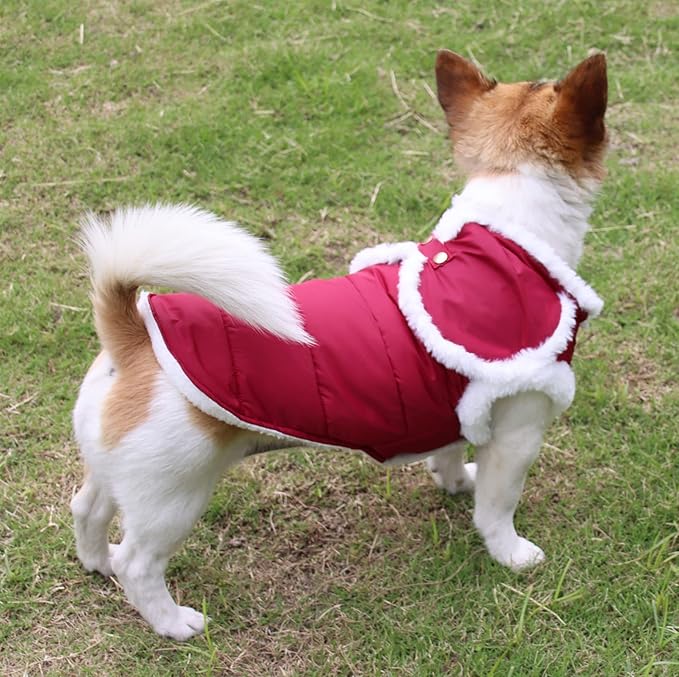 Shawl Design Fleece Lined Warm Dog Jacket for Winter Cold Weather,Soft Windproof Large Dog Coat,Red XXL