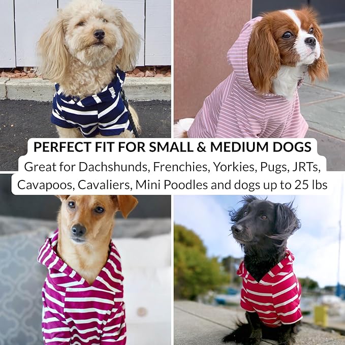 DJANGO Dog Hoodie – Warm, Lightweight, Soft & Stretchy Dog Sweater with Hood, Harness Hole & Elastic Waistband – Cozy Sweatshirt for Small Dogs up to 25 lbs, Dachshunds & Puppies – Black, X-Small
