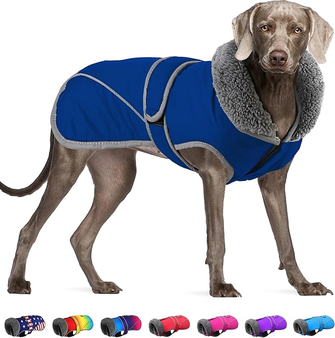 Dogcheer Dog Coat, Waterproof Dog Jacket Reflective Pet Winter Coat with Adjustable Hook & Loop, Christmas Puppy Fleece Jacket Warm Turtleneck Snowsuit for Small Medium Large Dogs - Blue, 2XL