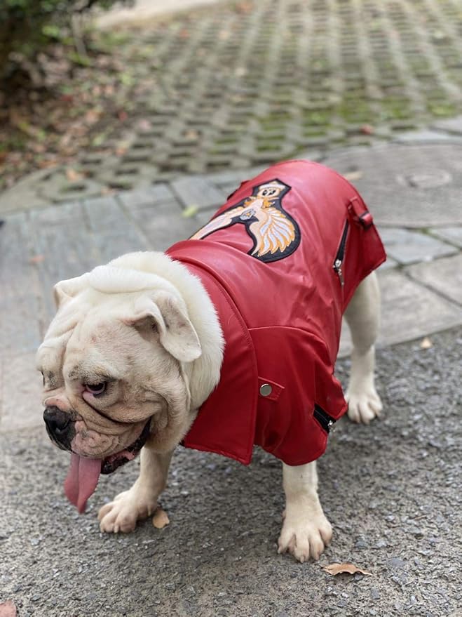 Lovelonglong Cool Dog Leather Jacket, Warm Coats Dogs Windproof Cold Weather Coats for Large Medium Small Dogs with Eagle Embroidery Red B-L