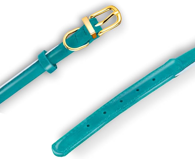 OOPSDOGGY Reflective Rolled Leather Dog Collar Adjustable Soft Padded Pet Collar for Small Medium Large Breed Dogs (Teal, XXS, 7"-9")