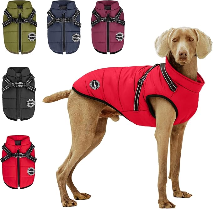 Warm Winter Coat, Fashion Sports Dog Jacket with Built-in Harness, Reflective & Adjustable Pet Vest, Waterproof Windproof Apparel for Small Dogs (Red)
