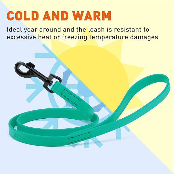 Dogline Biothane Waterproof Dog Leash Strong Coated Nylon Webbing with Black Hardware Odor-Proof Easy to Clean High Performance for Small or Large Dogs Made in USA 4 or 6 ft Lead, Teal