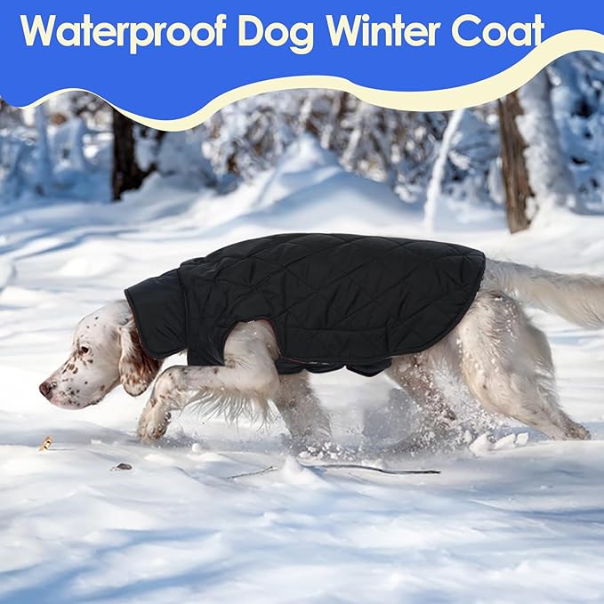 MIGOHI Dog Coat, Warm & Waterproof Winter Jacket for Small Medium Large Dogs, Reversible Dog Jacket, Green XL