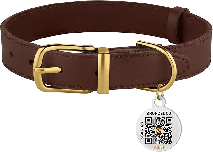 BRONZEDOG Leather Dog Collar with Metal Buckle Durable Basic Pet Collars for Small Medium Large Dogs (13-16 Inch (Pack of 1), Dark Brown & Gold Buckle)