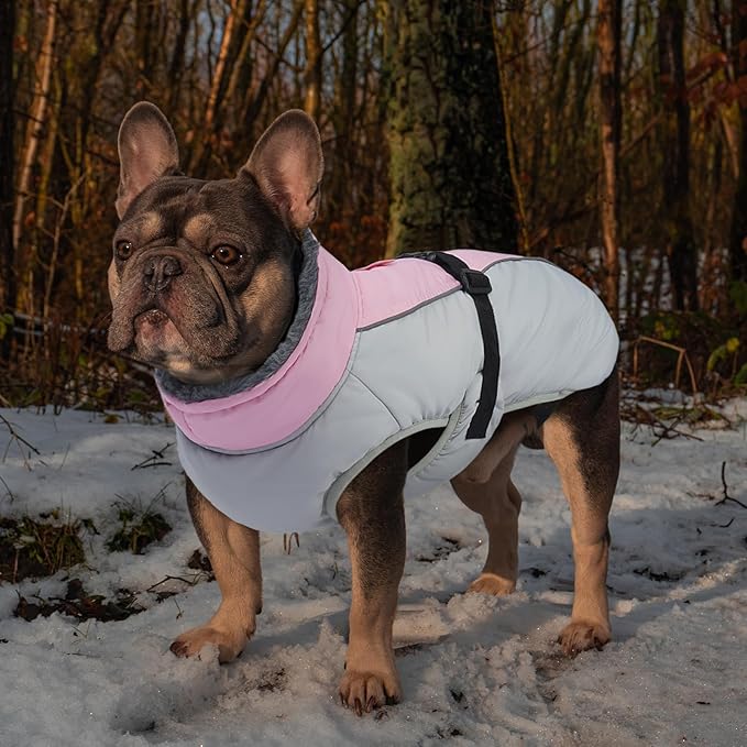 IECOii Extra Warm Dog Jackets for Large Dogs, Insulated Thermal Fleece Vest for Winter, Waterproof Reflective XL Dog Coat with Fur Collar, Windproof Cold Weater Clothes with Leash Hole, Pink, XL