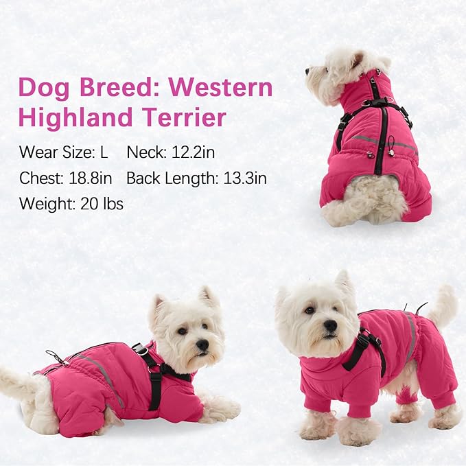 BRKURLEG Dog Winter Coat with Harness Built in, Winter Dog Jacket for Small and Medium Dogs, Small Dogs Snowsuit Reflective Windproof Cold Weather Coat, Puppy Warm Fleece Coats, Hot Pink, M