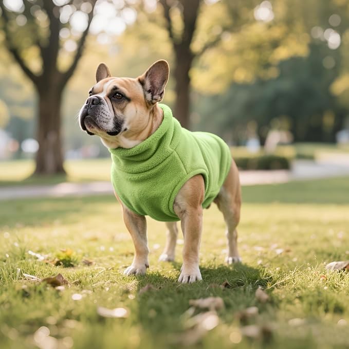Idepet Dog Fleece Vest Sweater Zip Up Warm Pullover Dogs Jacket with D-Ring Leash Winter Cold Weater Coat Pet Sweatershirt Clothes Hoodie for Small Medium Dogs Boy Girl(Green,XXL)