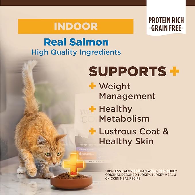 Wellness CORE+ Adult Dry Cat Food for Indoor Cats, Grain-Free, Natural, Salmon and Herring Meal (5 Pound Bag)