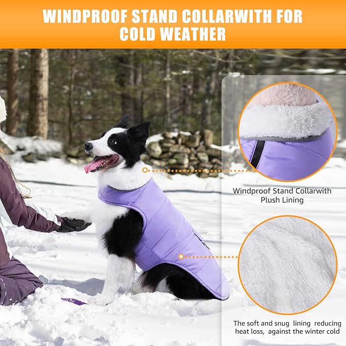 iBuddy Dog Winter Jackets with Fleece Vest,Waterproof Warm Dog Snow Jacket Windproof, Reflective Adjustable Pet Dogs Cold Winter Coat for Large Dogs Girl Boy