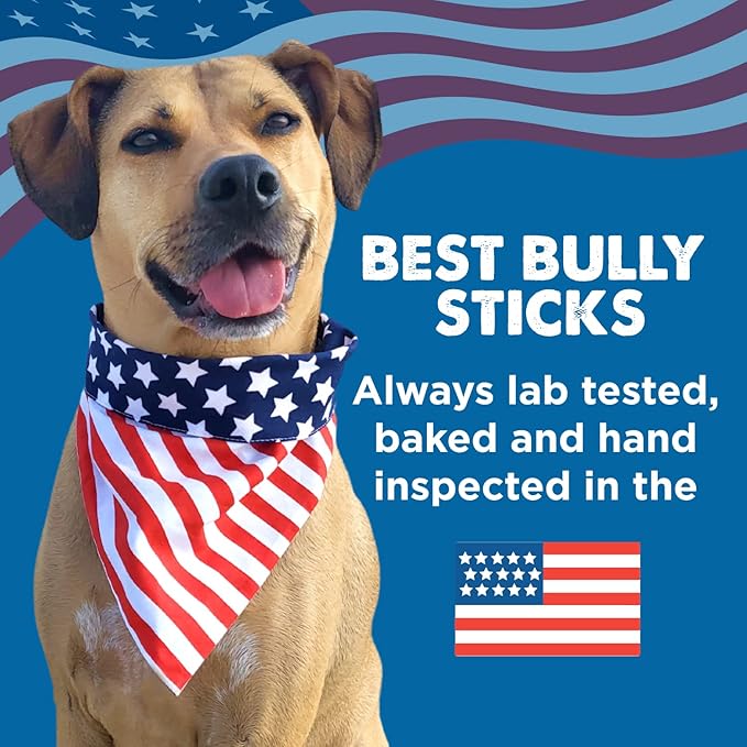 Best Bully Sticks Natural Jumbo Bully Sticks for Large Dogs - 6 Inch, 4 Count (Pack of 1) - 100% Free-Range Grass-Fed Beef, Single-Ingredient, Grain and Rawhide Free Long Lasting Dog Chews