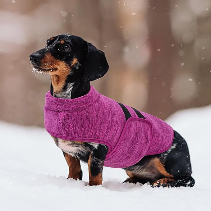 Queenmore Small Dog Sweaters, Soft Fleece Vest Pullover Dog Jacket with Leash Hole, Warm Winter Dogs Clothes Cold Weather Doggy Dachshund Sweater for Small Doggy Cats Boy or Girl (Cationic Berry, S)