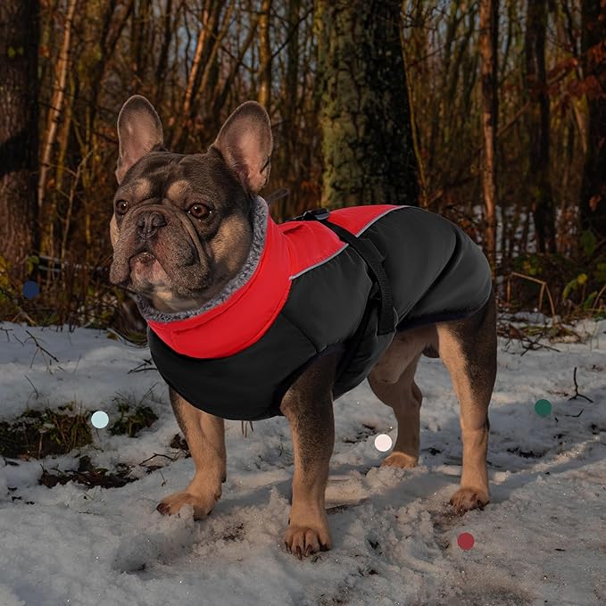 IECOii Extra Warm Reflective Adjustable Dog Jacket - Fleece Turtleneck Winter Coat for Small, Medium, Large Dogs in Cold Weather