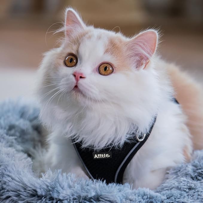 AIITLE Easy Walk Dog Harness and Leash Set - Pet Supply No Pull, Step in Adjustable Pet Harnesses with Padded Vest for Summer, No Choke Over, Easy to Put on Medium Dogs Black L
