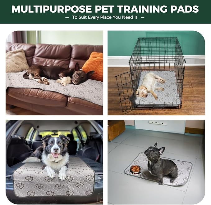 FXW Washable Pee Pads for Dogs, Puppy Pads with Super Absorbent, Specifically Designed for 48inch Cages, 47" × 29" Rectangle, Khaki, 1 Pack