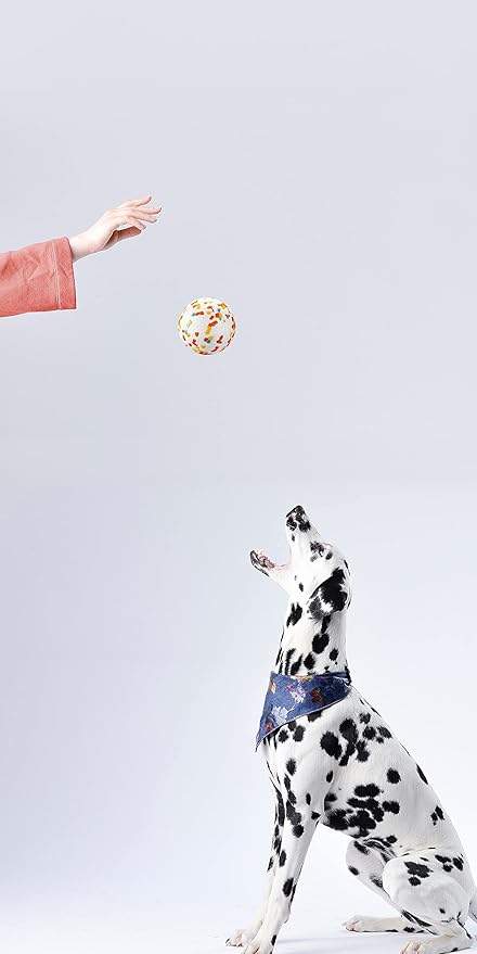 Dog Balls, Indestructible Dog Toy Ball for Aggressive Chewers, Durable High Elasticity Interactive Ball for Training Dog Catch and Fetch, Large Medium Small Dog and Puppies(2.5in, 2pcs)