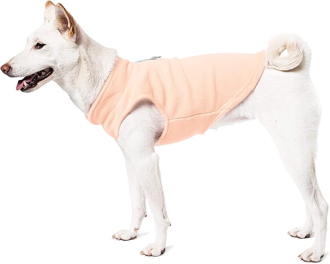 Gooby Fleece Vest Dog Sweater - Lime, X-Large - Warm Pullover Fleece Dog Jacket with O-Ring Leash for Small to Medium Dogs