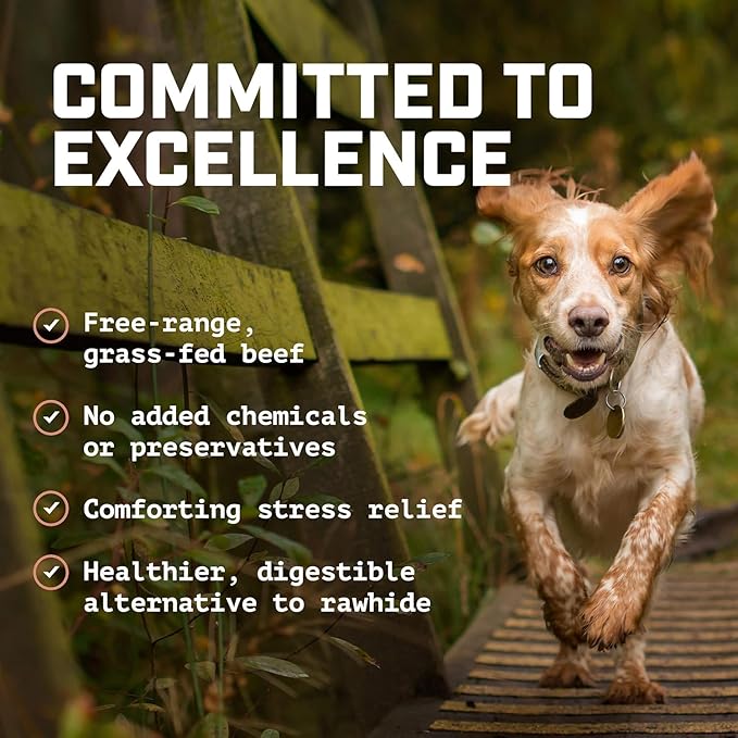 Wild Wolf 12-inch Angus Bully Sticks (8oz.) Healthy, All-Natural, Long-Lasting Dog Chew Bones - Low Odor - Mixed Thickness - Lab-Tested, Hand-Inspected and Packed with Love in The USA