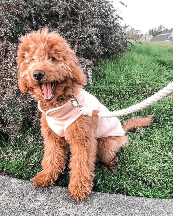 Gooby Fleece Vest Dog Sweater - Pink, Small - Warm Pullover Fleece Dog Jacket with O-Ring Leash for Small to Medium Dogs