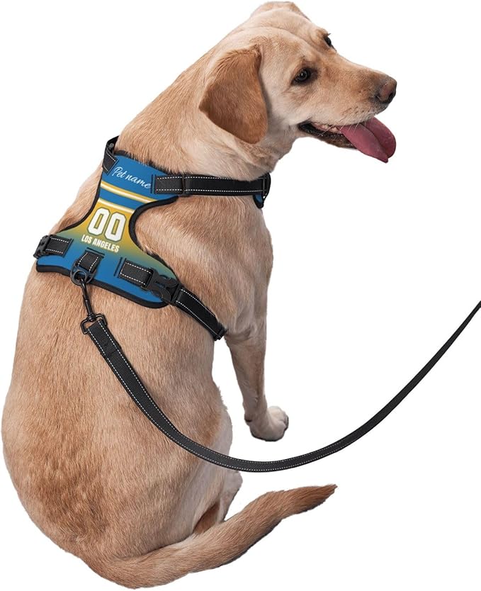 Custom Los Angeles Dog Harness with Reflective Stripes Personalized Name and Number Dog Vest Harness with Pet Traction Rope for Small Medium Large Dog