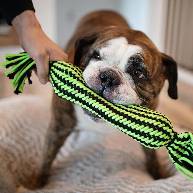 Jolly Pets Knot-N-Chew Tube Squeaker Green/Black Small/Medium
