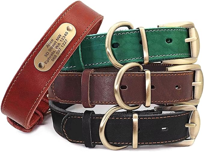 Didog Genuine Leather Dog Collars with Engraved Nameplate, Personalized Soft Leather Dog Collar with Custom ID Tag, Brown/Green/Red for Medium Large Dogs (XL,Black)