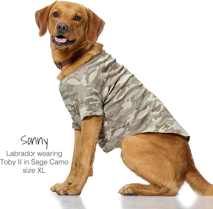 Toby II - The Perfect Tee, 3 Pack Short Sleeve Pet T-Shirt 100% Organic Cotton Tees Clothes for Small, Medium, Large Dogs, Sage Camo, Medium