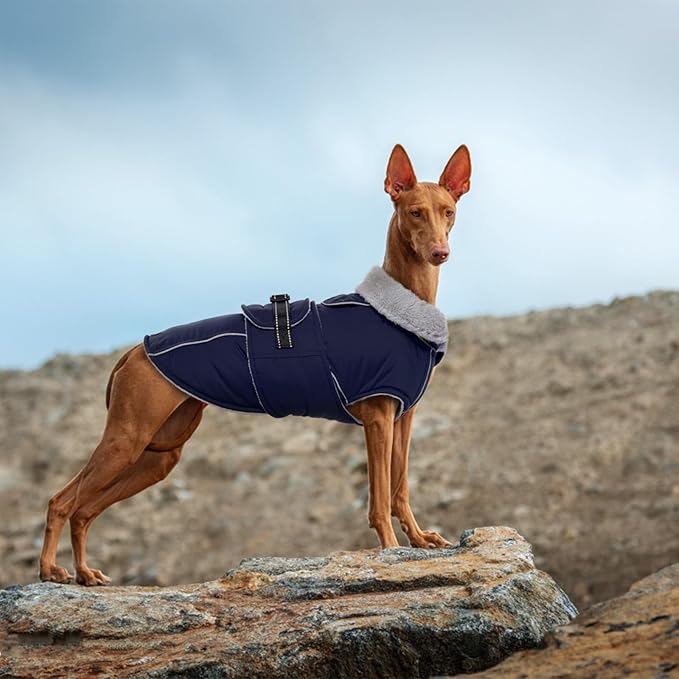 Lelepet Warm Dog Coat Waterproof Dog Jacket for Large Dogs Reflective Fleece Vest with Adjustable Buckle Hook & Loop Windproof Cold Weather Coats for Small Medium Large Dogs, Navy Blue, XXL