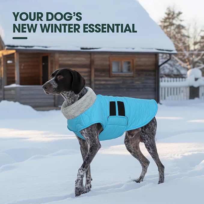 Kuoser Large Dog Coat, Winter Waterproof Dog Jackets for Large Dogs, Doggie Vest with Leash Hole, Cold Weather Coats Pet Snow Jacket for Labrador Beagle, Blue XXL