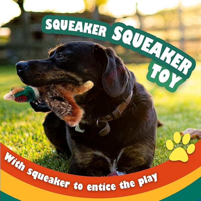 ALL FOR PAWS Classic Dog Pheasant Toys, Squeaky Dog Toys Stuffed Animal Dog Hunting Plush Toy, Large
