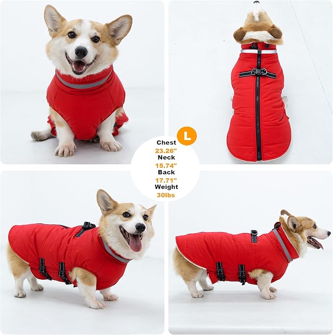 Large Dog Coat with Harness Built-in, Waterproof Reflective Fleece Lined - Warm Windproof Winter Jacket with Back Zipper, Cold Weather Snow Dog Coats - Red - 3XL