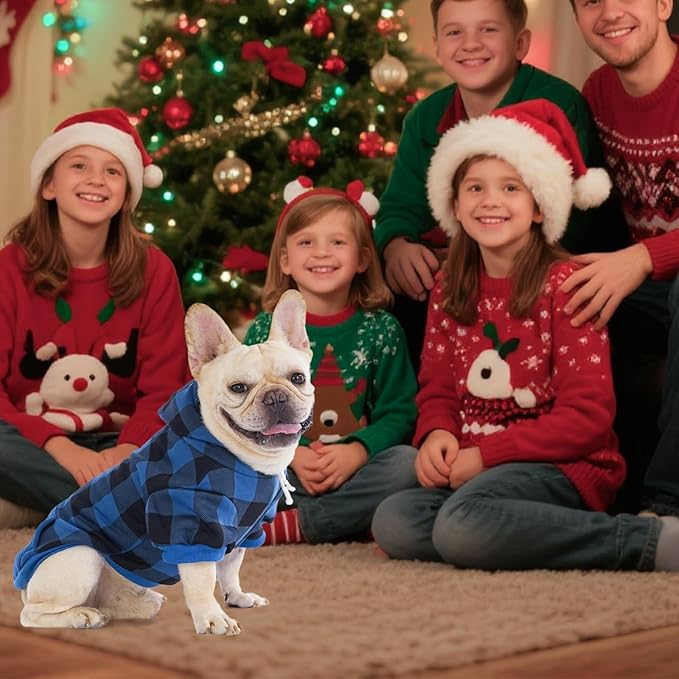 KOOLTAIL Plaid Dog Hoodie Pet Clothes Sweater with Hat and Pocket for Small Medium Large Size Dogs, Soft Winter Warm Dog Cold Weather Coat, Fleece Fall Dog Hooded Sweatshirt for Puppy Cats, Blue M