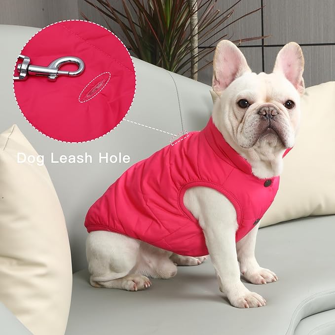 2 Layers Fleece Lined Warm Dog Jacket for Puppy Winter Cold Weather,Soft Windproof Small Dog Coat,Pink M