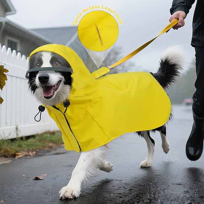 DENTRUN Dog Rain Poncho for Corgi, Schnauzer – Waterproof & Quick-Dry – Hooded Design with Leash Hole for Outdoor Adventures, Camping, City Strolls, L