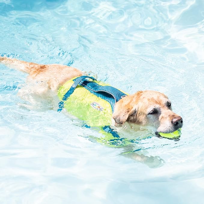 Outward Hound Standley Sport Dog Life Jacket, High-Performance Ripstop Dog Life Vest for Swimming, Boating, and Water Safety, XL, Green