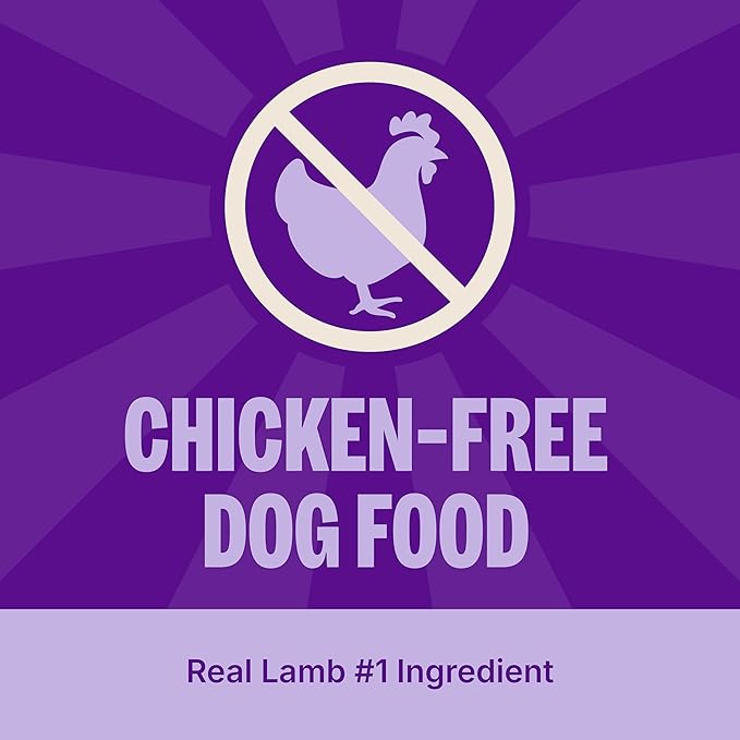 Wellness CORE Dry Dog Food, Grain Free, High Protein, Natural, Lamb Recipe, (4-Pound Bag)