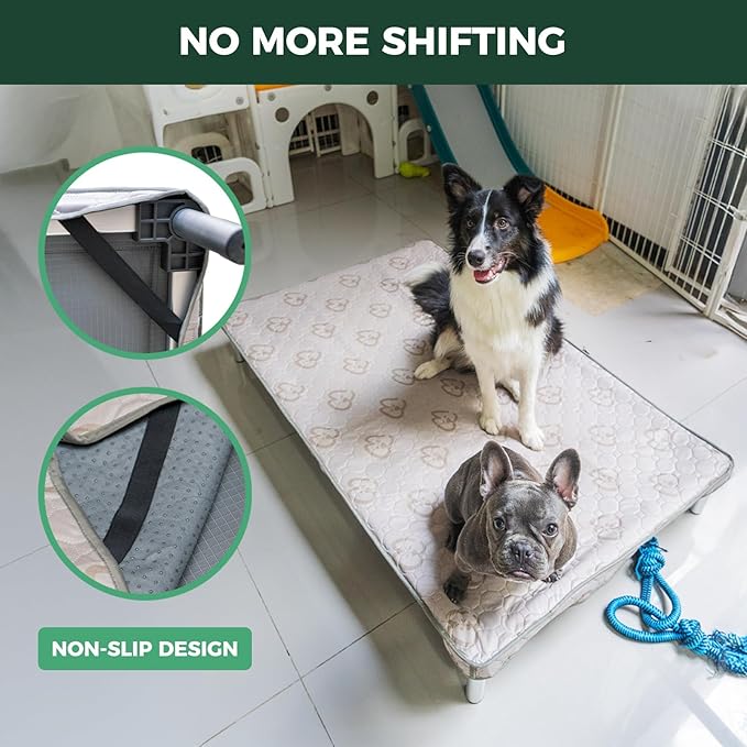 FXW TitanNest Chew-Proof Elevated Dog Bed, Raised Cot for Indoor/Outdoor/Camping Use, Durable & Waterproof Cooling Pet Bed with Exclusive Cover for Medium Dogs, 42.0" L x 27.0" W x 5.0" H, Black