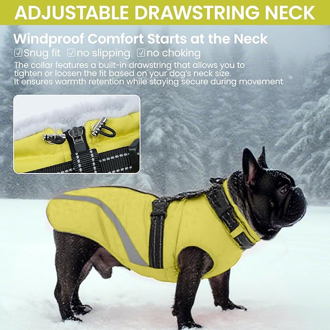 QBLEEV Small Dog Coat, Dog Jackets for Small Dogs, Winter Warm Waterproof Chihuahua Cold Weather Vest with Harness, Windproof Puppy Yorkie Reflective Fleece Dogs Snowsuit for Maltese, Green, S