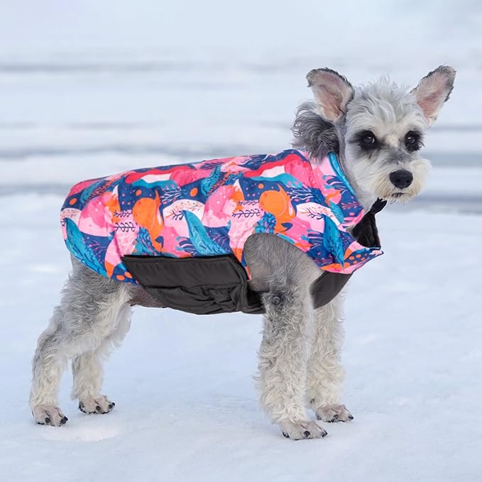CuteBone Winter Dog Coat - Waterproof Windproof Reversible Jacket with Leash Hole - Soft Thick Coats for Small to Large Dogs