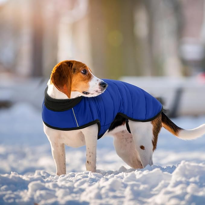 IDOMIK Dog Winter Coat, Warm Waterproof Dog Puffer Jacket with Harness Hole, Adjustable Reflective Snow Jacket Vest with Turtleneck, Pet Cold Weather Coats for Large Dogs,Blue,XL