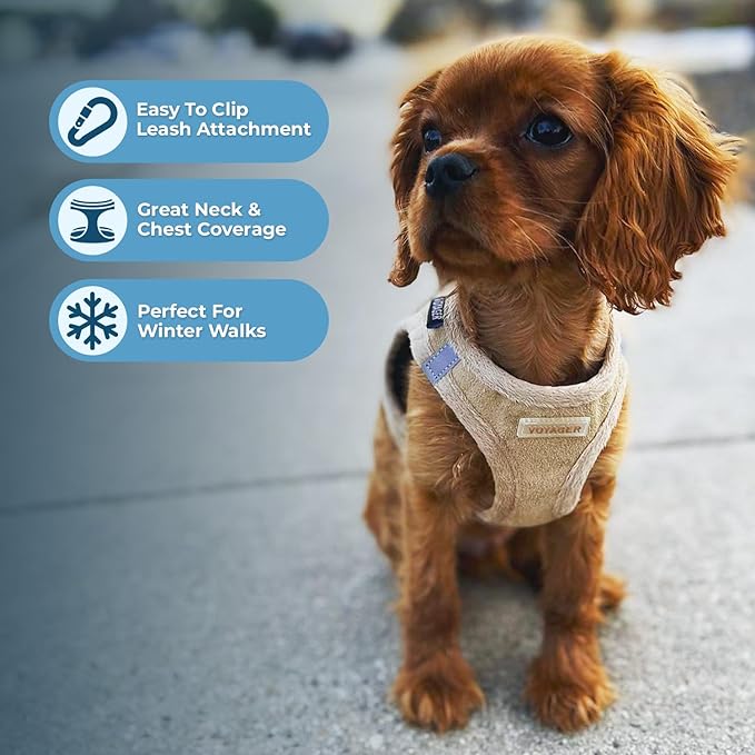 Best Pet Supplies - All Weather Mesh/Plush, Reflective, No Pull Harness for Small, Medium Dogs, Cats - Secure with Hook & Loop Fastener, Buckle, Double D-Rings - Latte Suede, XS